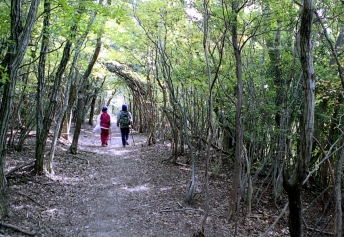 熊野古道・大辺路