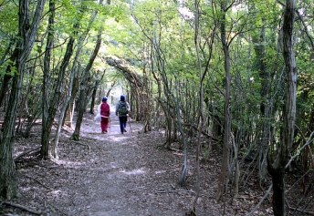 熊野古道・大辺路